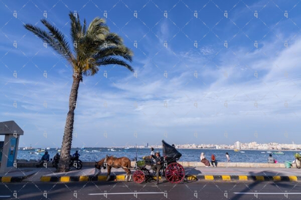 Sea Corniche