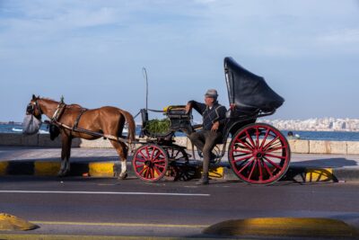 Cabriolet carriage in the morning