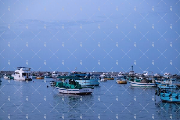 Sea trips from the Corniche