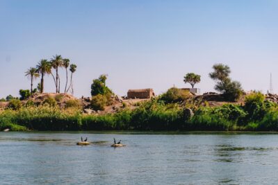 Birds of the Nile bank