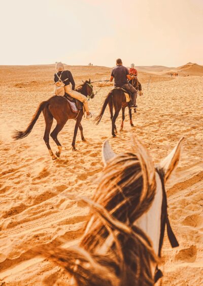 Trip on horses in the pyramids area