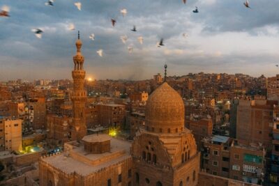 Birds fly in the sky of Cairo