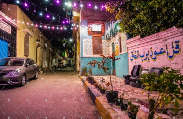 Plants in one of the streets